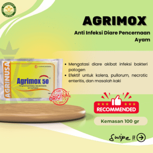 Agrimox Antibiotik Spektrum Luas untuk Unggas Sehat dan Produktif