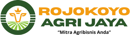 logo rojokoyo